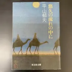 悠久の流れの中に　平山郁夫　旺文社文庫