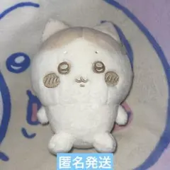 ちいかわ　ぬいぱれっと〜ミルクいろ〜ぬいぐるみ　ハチワレ