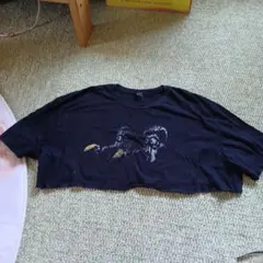 ANVIL 半袖 Tシャツ ブラック クロップド丈のサムネイル