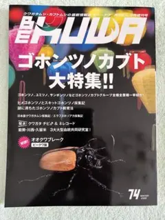 2026年最新】ビークワの人気アイテム - メルカリ