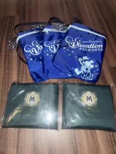 【値下】【非売品】TDRバケーションパッケージ限定バッグ&エコバッグ
