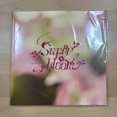 あんさんぶるスターズ！！　スタフォニ4th 特典パンフレット