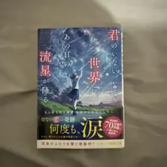君のいない世界に、あの日の流星が降る