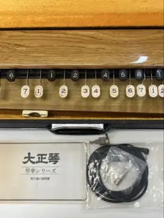 2026年最新】大正琴 蘭 バスの人気アイテム - メルカリ