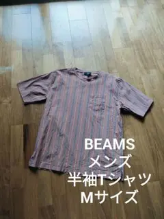 ビームス メンズ ストレッチ ストライプ 半袖 Tシャツ ブラウン M