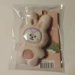 BT21 MANG 32点セット 新品 ぬいぐるみ等 Jhope ホビBTS BT21 MANG 32点セット 新品 ぬいぐるみ等 Jhope ホビBTS