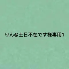 りん@土日不在です様専用1