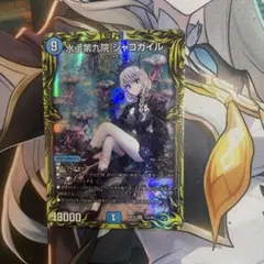 2026年最新】シャコガイルaの人気アイテム - メルカリ