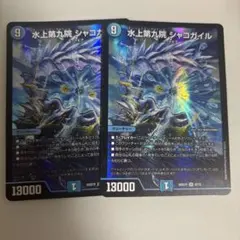 シャコガイル