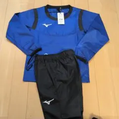 Item thumbnail for item d90fdc8e-798d-4f2a-9325-600ed5073e11