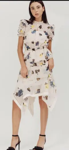 セルフポートレート　セットアップ