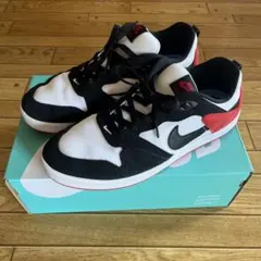 Nike SB Alleyoop スニーカー 11.5