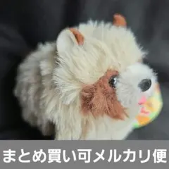 たぬぽんぽん ぬいぐるみ マスコット LMC タヌオ 1個 (写真の子)