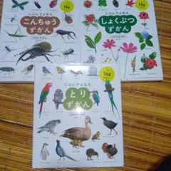 じぶんでよめる ずかん 3冊セット こんちゅう しょくぶつ とりのサムネイル