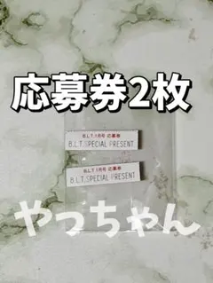 【応募券2枚】B.L.T.2026年1月号