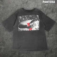 希少 USA製 PANTERA パンテラ リンガー バンドT メタルT ロックT 