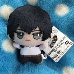 家庭教師ヒットマンREBORN! ちびぐるみ　雲雀恭弥