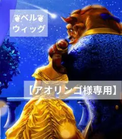 【アオリンゴ様専用】ディズニー 美女と野獣 ベル風 ウィッグ