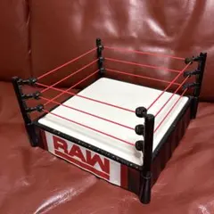 RAW プロレスリング ジャンク
