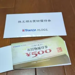 YAMADA HLDGS. お買物優待券 ¥500✕10枚