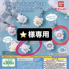 ⚠️【⭐️様専用】 めじるしアクセサリー⚠️