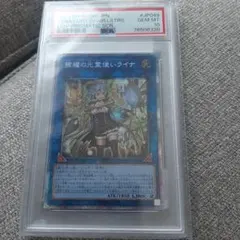 2026年最新】ライナ プリズマ psa10の人気アイテム - メルカリ
