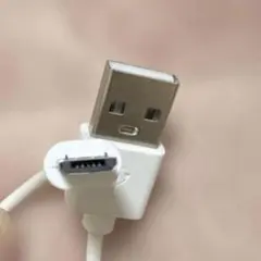 Item thumbnail for item 8c12cd18-b82c-4db6-bd59-b8b53f805feb