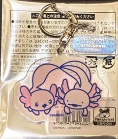 たまごっち　新江ノ島水族館　アクリルキーホルダー　あほろぱっち