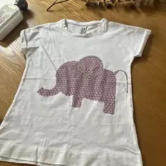 Item thumbnail for item e6d3eae8-13a0-4a8d-88f9-08a7708d3e3d