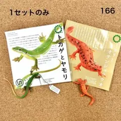 166 【ガチャ】トカゲとイモリ ボールチェーン&マグネット 2種セット