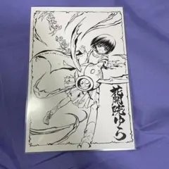 希少】ぬらりひょんの孫 特典 イラストカード リクオ 氷麗 - メルカリ