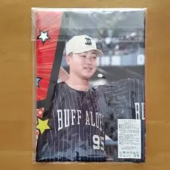 コロチャレ 応援グッズ