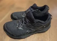 ASICSアシックスGEL-Trabuco 10 GTX27cm - メルカリ