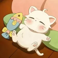 Ha様専用