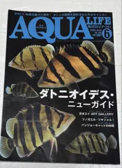 アクアライフ 2024年6月号 ダトニオイデス特集