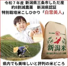 令和7年産　減農薬　新潟こしひかり白米20kg 新潟県三条市旧しただ村産　特栽米 令和7年産 減農薬 新潟こしひかり白米20kg 新潟県三条市旧しただ村産
