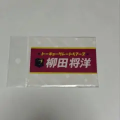 柳田将洋 ベアガチャ 2024-25 スーツver. エターナルステッカー 2026年最新】柳田将洋の人気アイテム - メルカリ