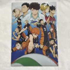 【未開封】ハイキュー クリアファイル アニメ 一期 キービジュアル【匿名配送】