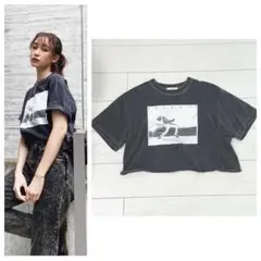 新品Arpege story店舗限定ヴィンテージPoodle PhotoTシャツ 新品Arpege story店舗限定ヴィンテージPoodle PhotoTシャツ - メルカリ