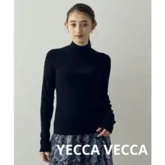 YECCA VECCA ハイネックリブニット セーター ブラック F