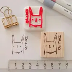 びょーんとのばしました。うさぎさん HELLO