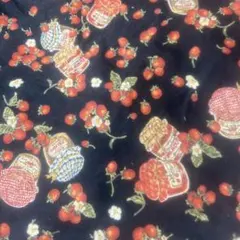 あんみつ様　専用　ダブリエ　cotton 刺繍レース