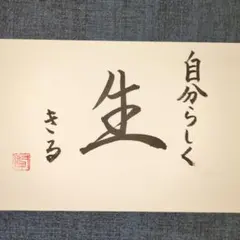 トミーさん様 リクエスト 3点 まとめ商品