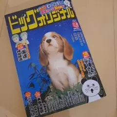 Item thumbnail for item 8bd781f6-f968-411f-b76c-3bacd35685ae