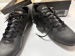 ASICS スパイク 29.5cm ブラック　ゴールドステージ