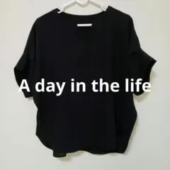 A day in the life UNITED ARROWS半袖ブラウス 黒Lのサムネイル