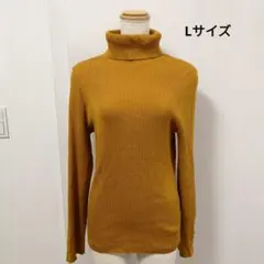 Item thumbnail for item b01c38f7-bf46-4e21-bc31-58925fbfa66e