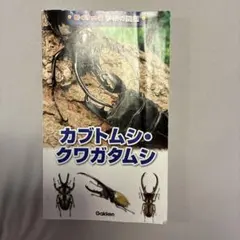 図鑑　カブトムシ　クワガタムシ