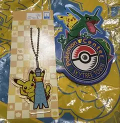 ポケモンセンター ピンズセット 沖縄・スカイツリー ポケモンセンター ロゴピンズ スカイツリー ソラマチ 2個セット