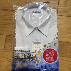 Item thumbnail for item afc7fbbe-893c-4378-821a-b29b707de79d